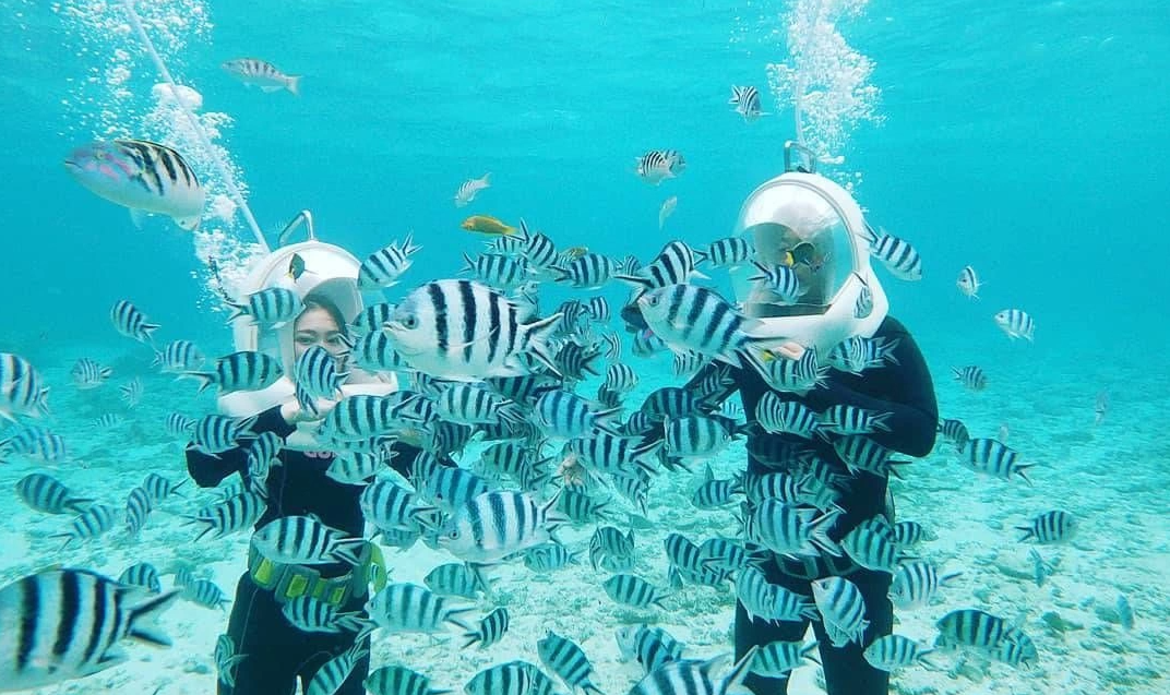 株式会社ブルーオーシャン