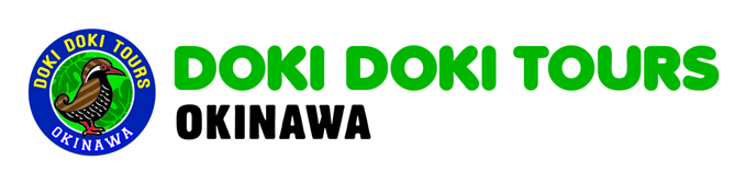 DokiDokiTours