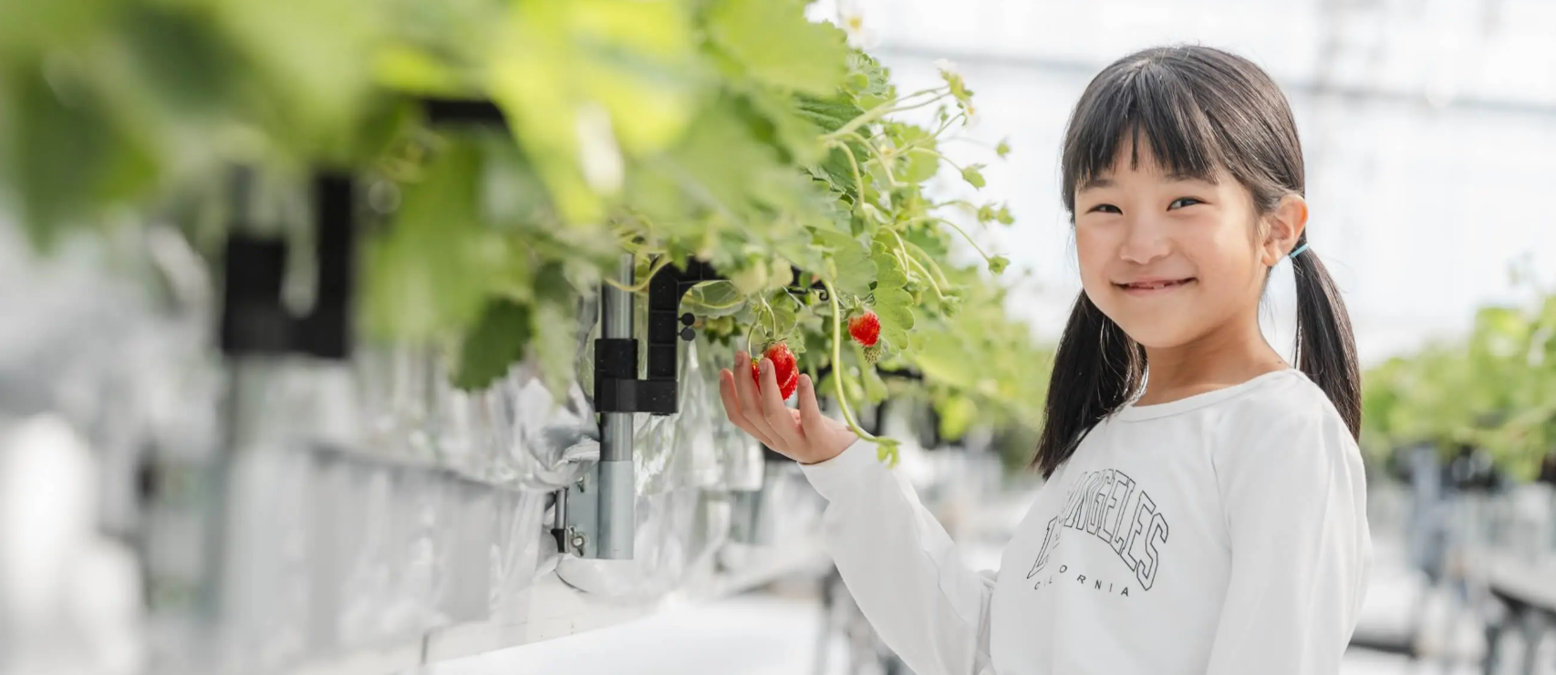 LPCベジタリアファーム