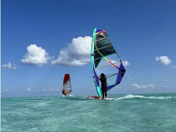 【三浦・津久井浜】女性でも、初心者でも安心！ウィンドサーフィン体験コース！（2.5時間）