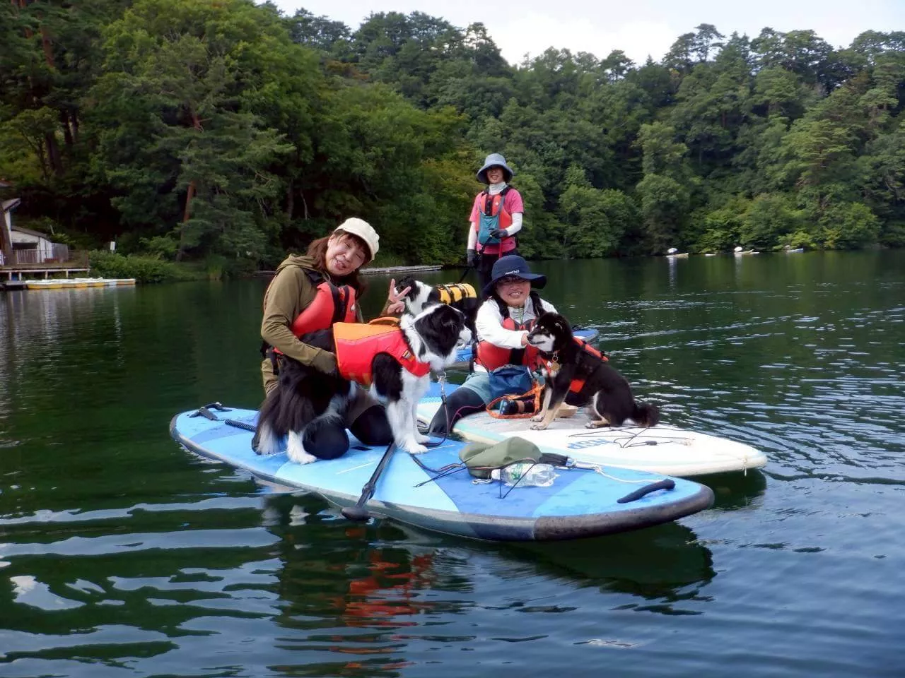 愛犬と最高の思い出作り！絶景の八ヶ岳で体験するドッグSUP