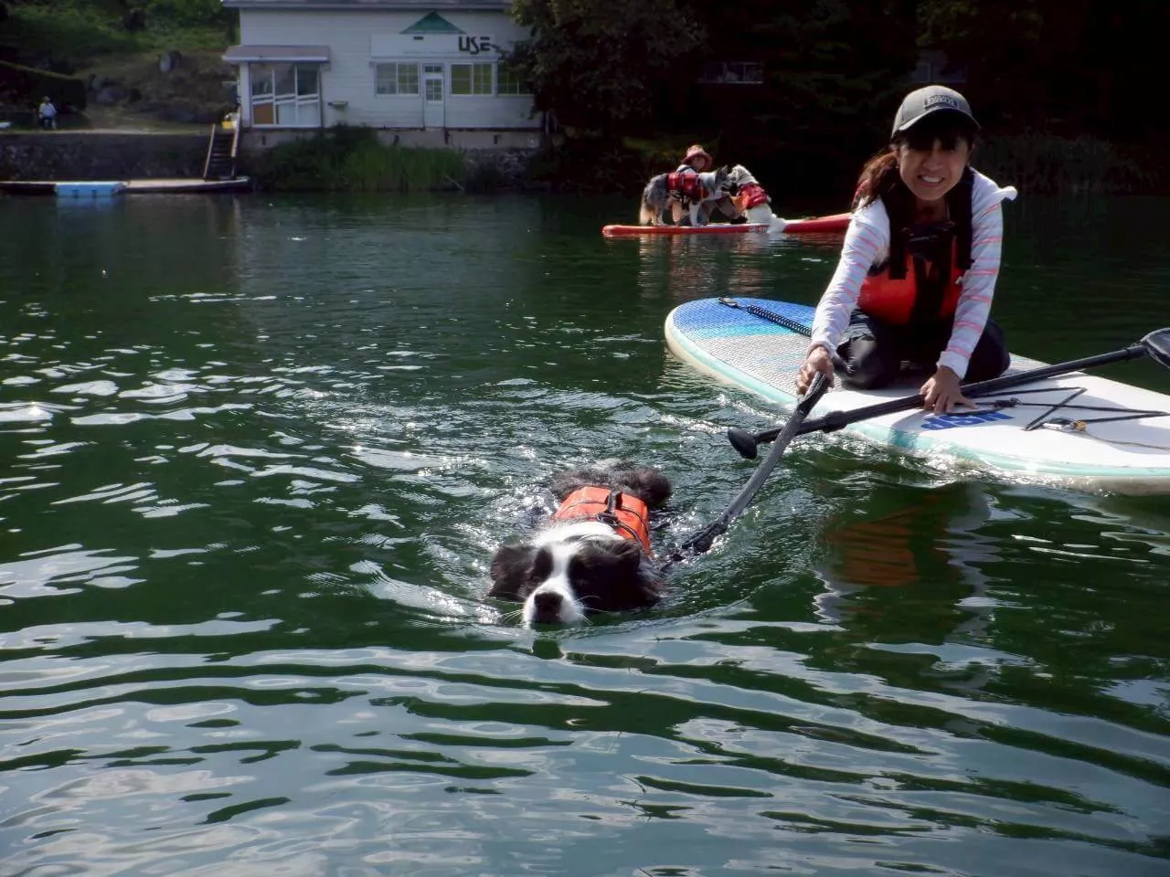 八ヶ岳の絶景ロケーションで愛犬と映える記念写真が撮れるSUP体験