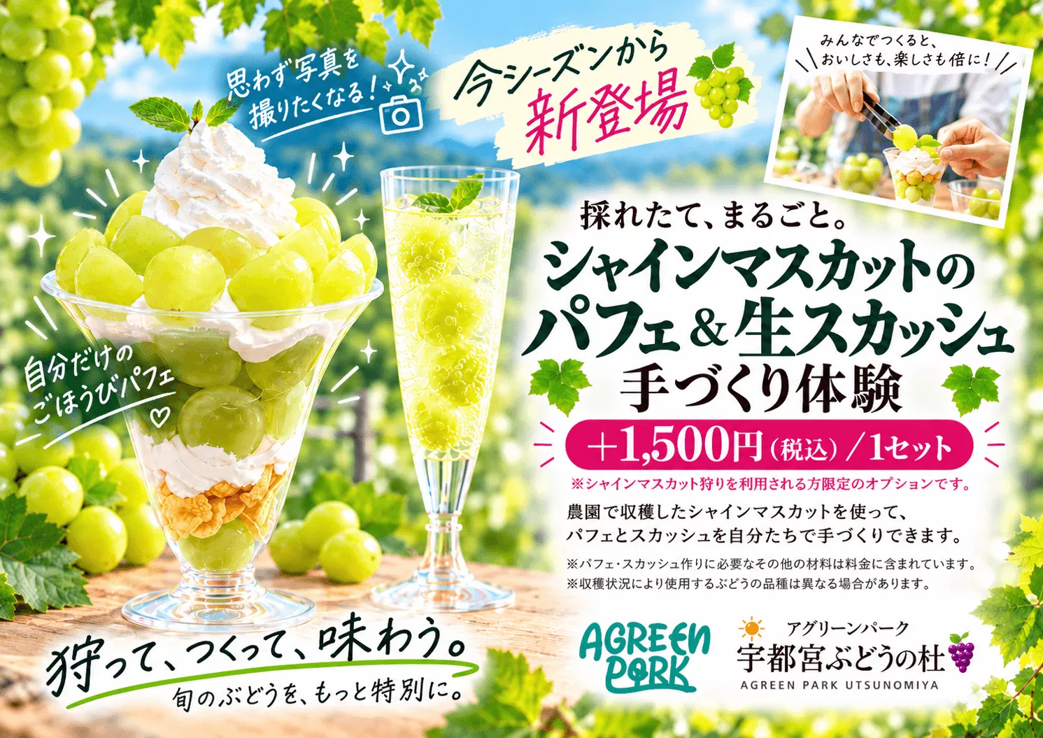 今シーズンから新登場です♪