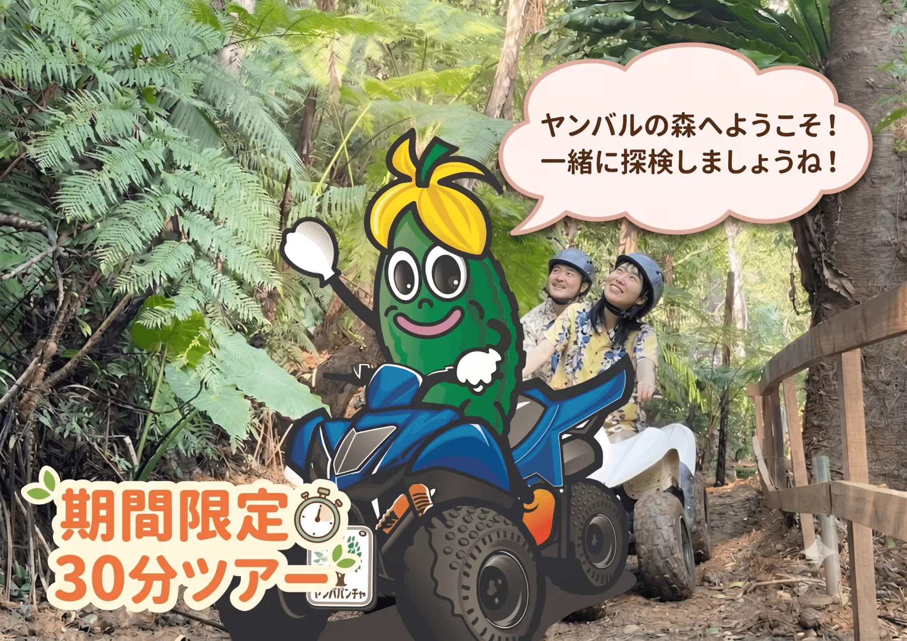 期間限定30分ツアー