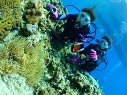 青の洞窟ダイビング3|マリントリップ沖縄