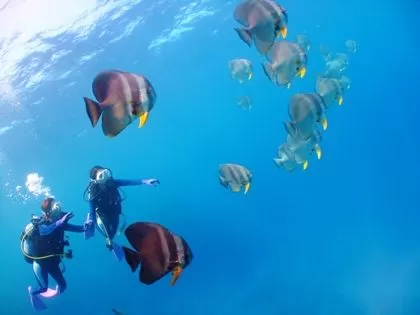 青の洞窟ダイビング1|マリントリップ沖縄