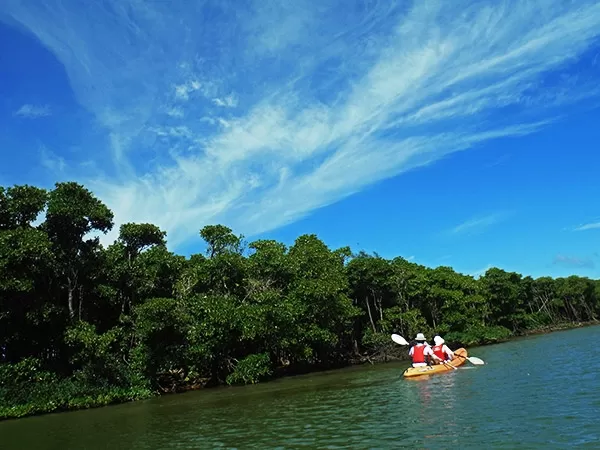 沖縄マングローブカヤック3|サウスワードカヤッククラブハウス