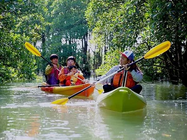 マングローブ｜カヤック｜億首川｜ネイチャーみらい館｜アースシップ沖縄4