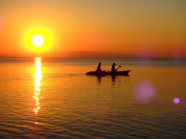 また来年も一緒に見ようね。
