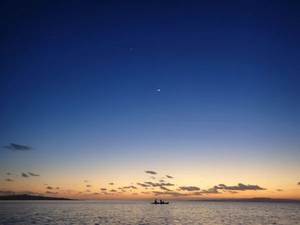 心癒されるひととき