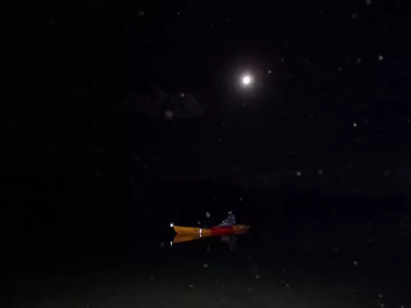 お月様も綺麗だな～