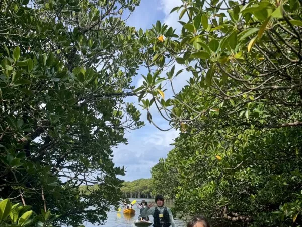 石垣島シュノーケルツアー2｜石垣島・名蔵湾（なぐらわん）｜SUP（スタンド・アップ・パドルボード）