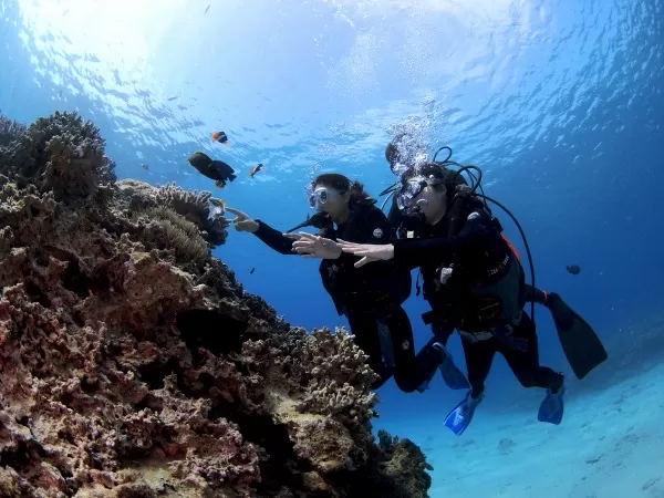 体験ダイビング