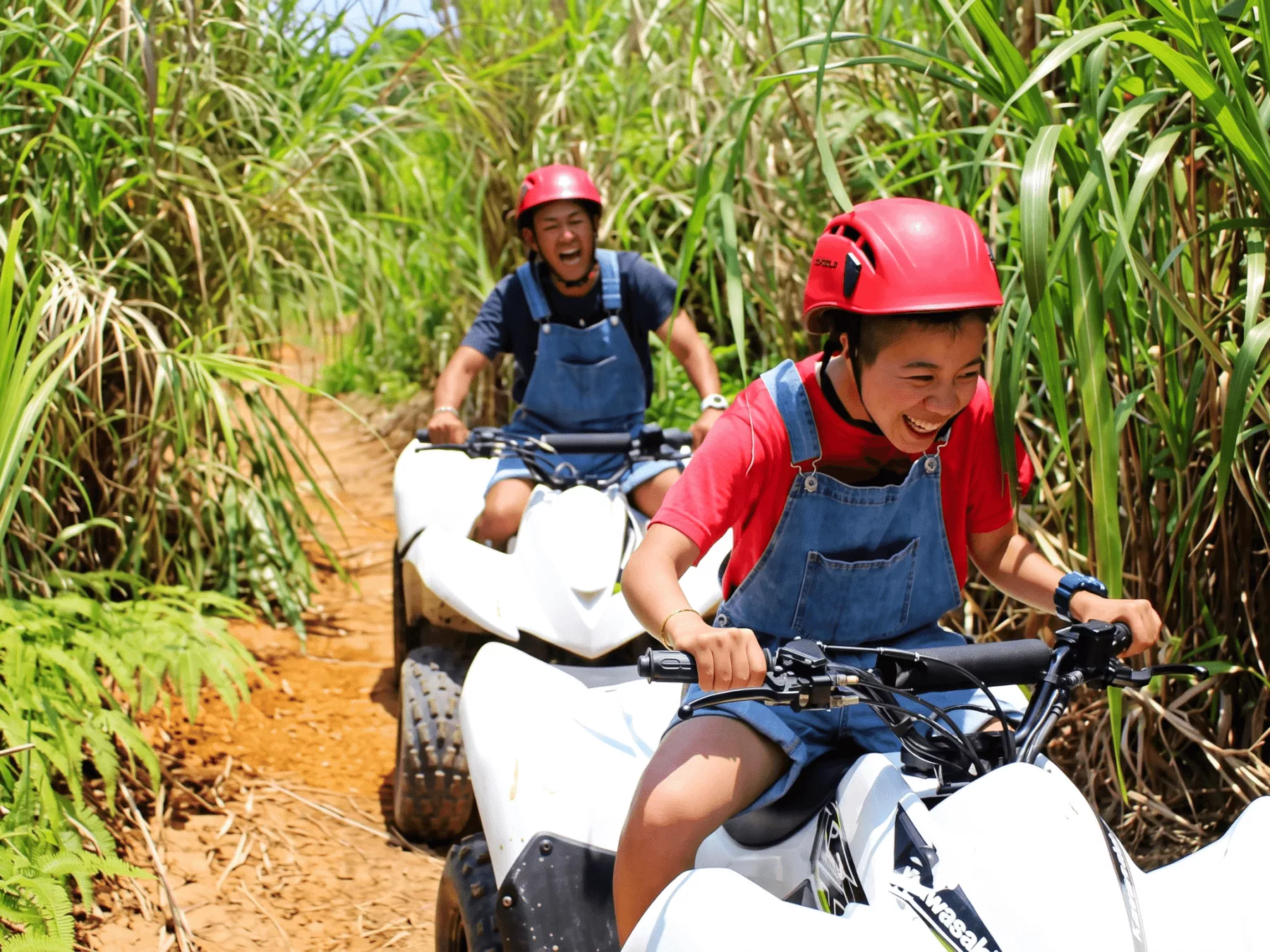 [HIGASHISON] Coffee Farm & Jungle ATV Adventure★ Ages 4+ Welcome! [Northern Okinawa Yanbaru, Yambarunture HIGASHISON @ Matayoshi Coffee Farm]