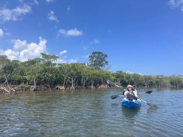 石垣島シュノーケルツアー3｜石垣島・名蔵湾（なぐらわん）｜マングローブカヤック