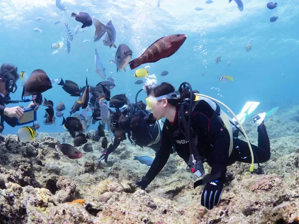 青の洞窟店舗 青の洞窟店舗