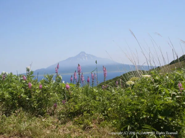 【1グループ貸し切り♪】8時間コース（浜中～香深井）