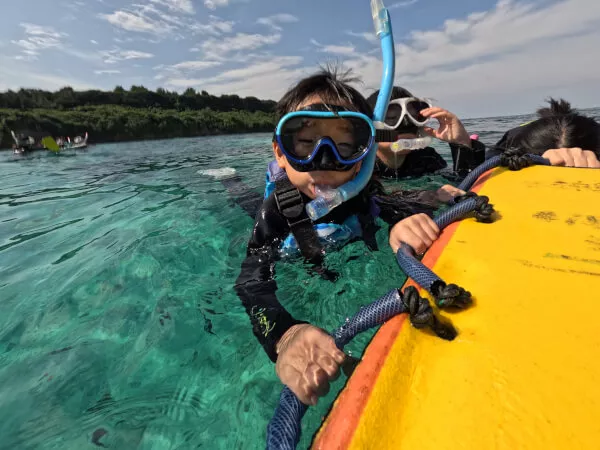 マンタの遊泳、ホヌの遊泳 ２パネルセット GX・SONIC ROYAL MT】競泳用ハーフスパッツ|N2MBD002|競泳水着|スイム