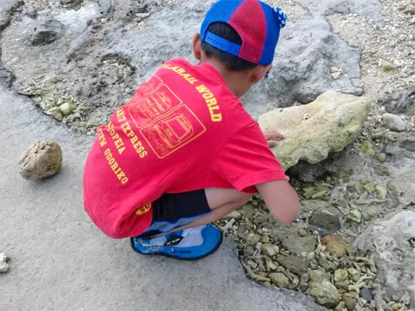 海の遊び処 なかゆくい｜糸満｜観察探検｜イノー