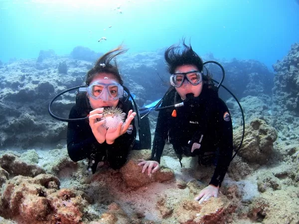 体験ダイビング