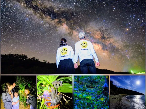 送迎無料＆当日予約17時まで★【ヤシガニ99.9％高遭遇率＆星空鑑賞＆ホタル鑑賞＆ナイトビーチ】石垣島ナイトジャングル＆ドライブツアー！
