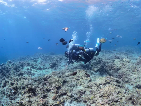 青の洞窟｜ビーチエントリー