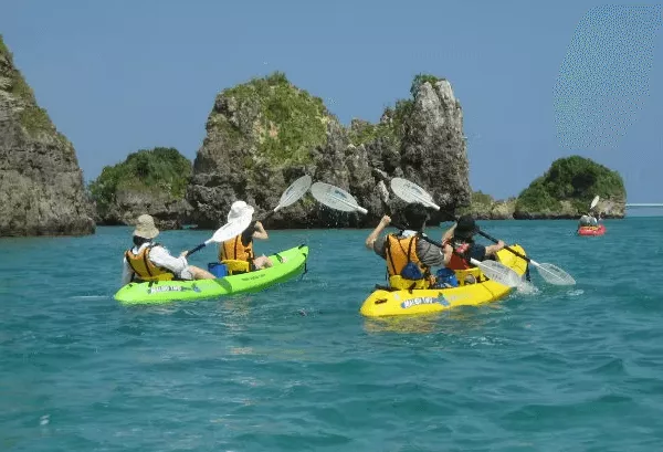 シーカヤック（デイ）～プライベートツアー～