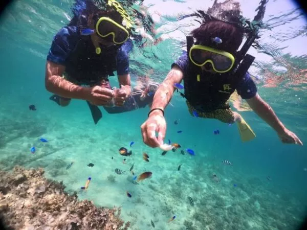 沢山の熱帯魚がお出迎えしてくれるムルク浜ビーチ周辺ならではのシュノーケルポイント！