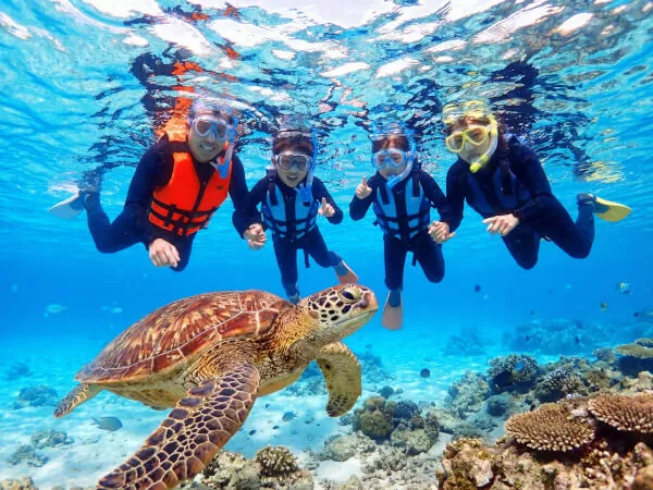 運が良ければ、カメさんもいるかも!?