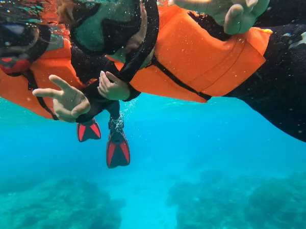 シュノーケリング