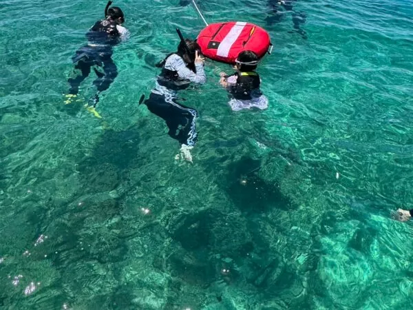 シュノーケリング