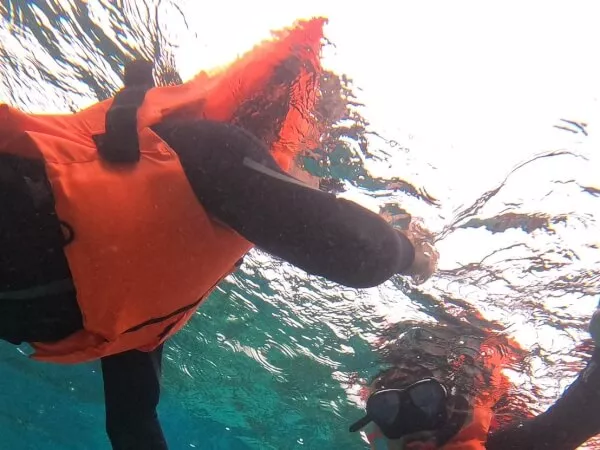 シュノーケリング