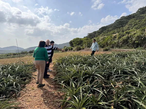 パイナップルも美味しかった～