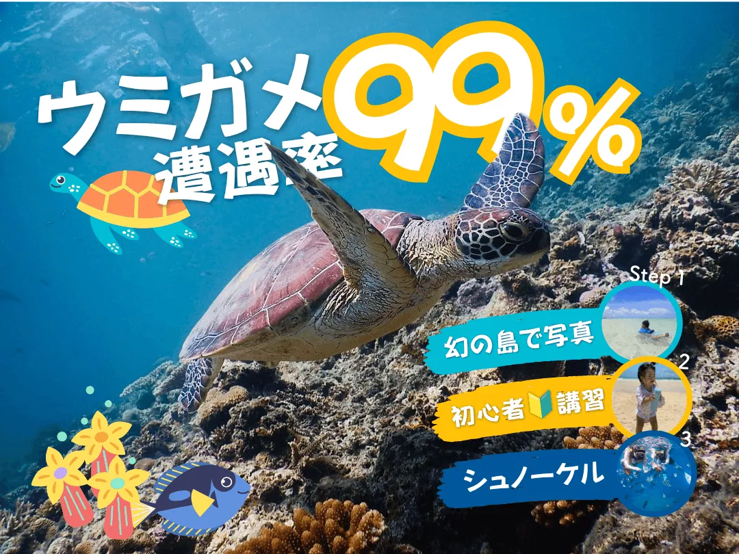 幻の島+ウミガメ探索シュノーケル