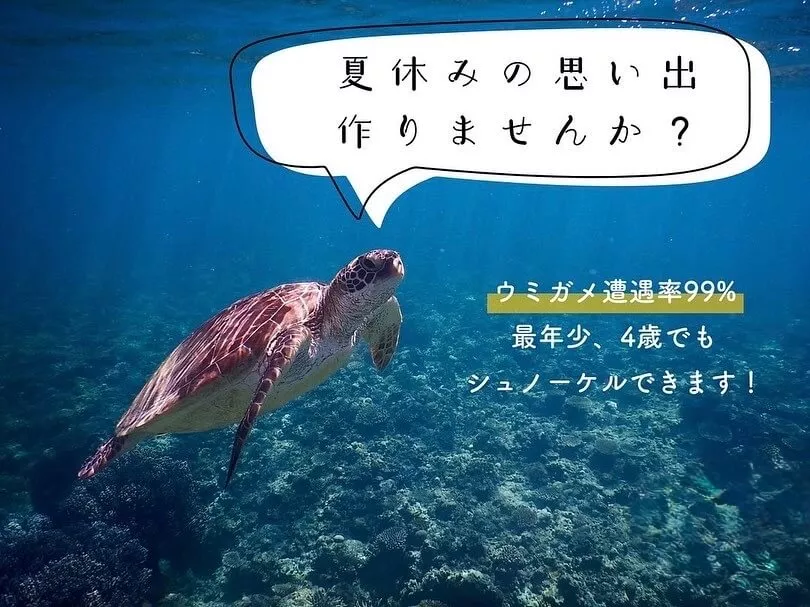 ウミガメ探索シュノーケルコース