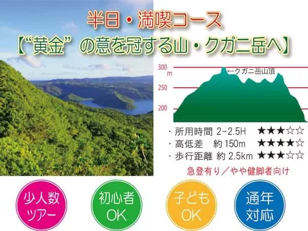 【“黄金”の意を冠する山・クガニ岳へ】世界自然遺産 やんばるの森 トレッキング エコツアー 半日・満喫コース３<初心者OK／子どもOK／少人数制／通年OK／１名参加対応>