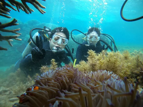 お魚が間近で見れちゃう♪