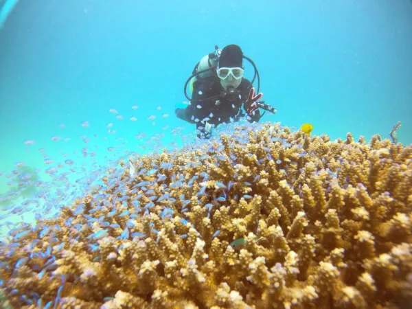 約30分の海中散歩