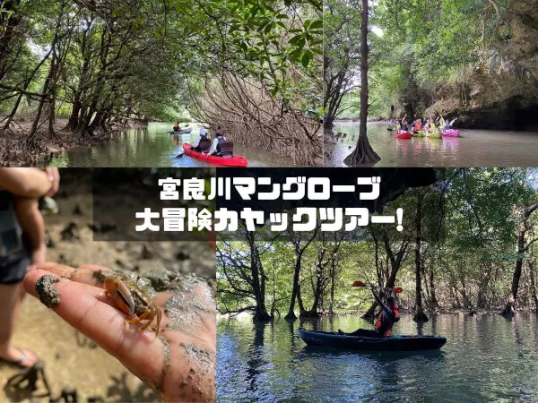 マングローブカヤック