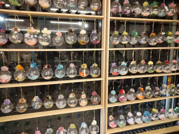 お店のガラスに、たくさんのデコレーションバルーン❣