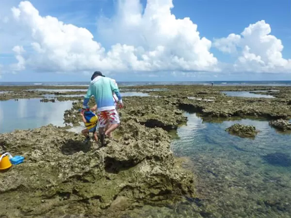 海の遊び処 なかゆくい｜糸満｜観察探検｜イノー