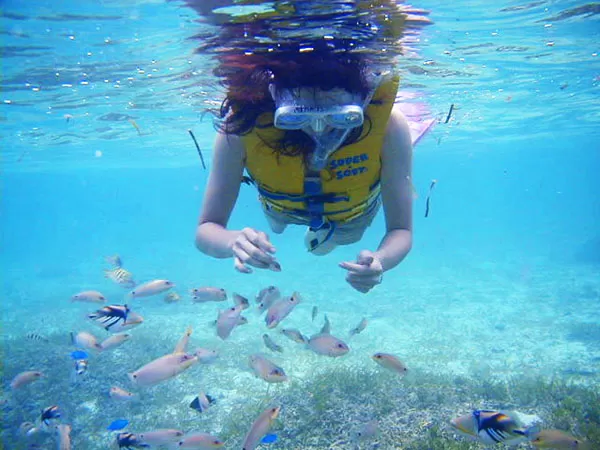 バナナボート｜シュノーケリング｜シーカヤック