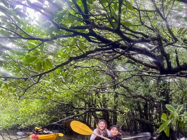 石垣島シュノーケルツアー2｜石垣島・名蔵湾（なぐらわん）｜マングローブカヤック