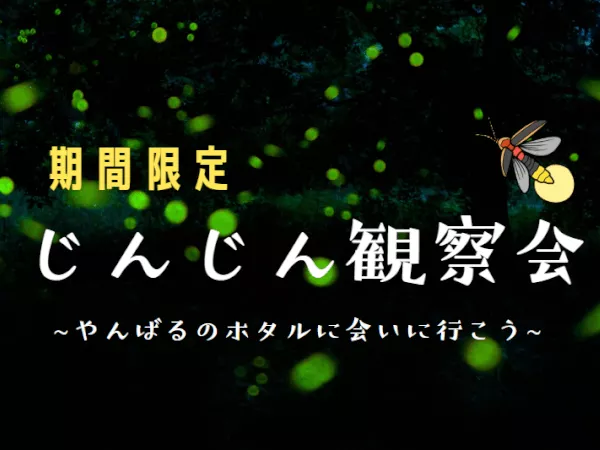 【5-6月限定】じんじん観察会～やんばるの蛍に会いに行こう～