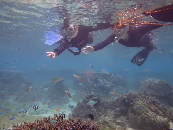 【通年開催】沖縄本島南部『糸満・大度海岸』ビーチシュノーケリング