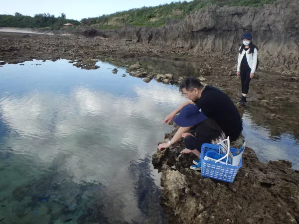 海の遊び処 なかゆくい｜糸満｜観察探検｜イノー
