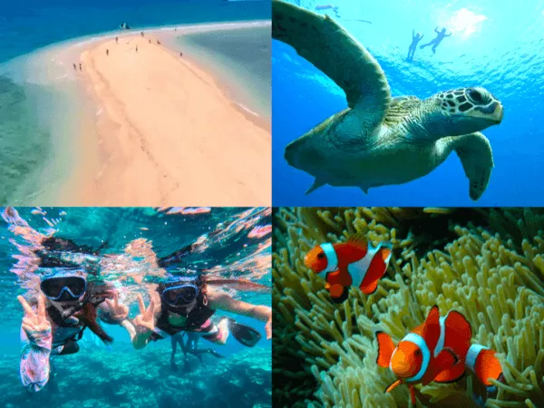 石垣島青の洞窟・ツアー・半日