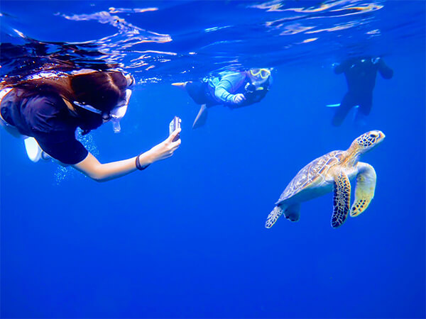 石垣島青の洞窟・安い・歩き