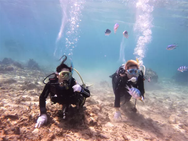 11月～3月中旬開催 沖縄本島南部ビーチ体験ダイビング【空港から車で約30分・約3時間・10歳以上】