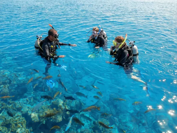 水面で呼吸の練習をしっかりやります